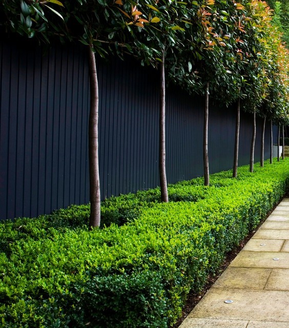 garden-hedge-designs-25_7 Градински хедж дизайни