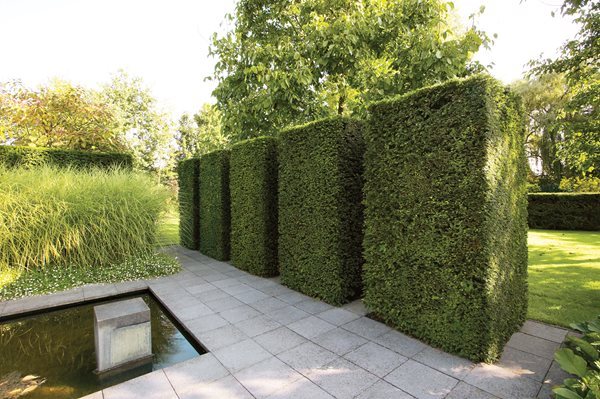 garden-hedge-designs-25_8 Градински хедж дизайни