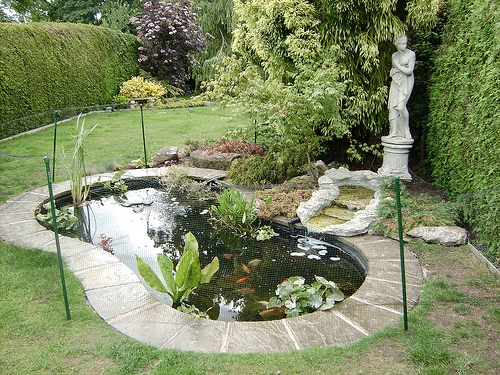 garden-pond-edging-stones-40_15 Градинско езерце кант камъни