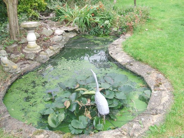 garden-pond-edging-stones-40_7 Градинско езерце кант камъни
