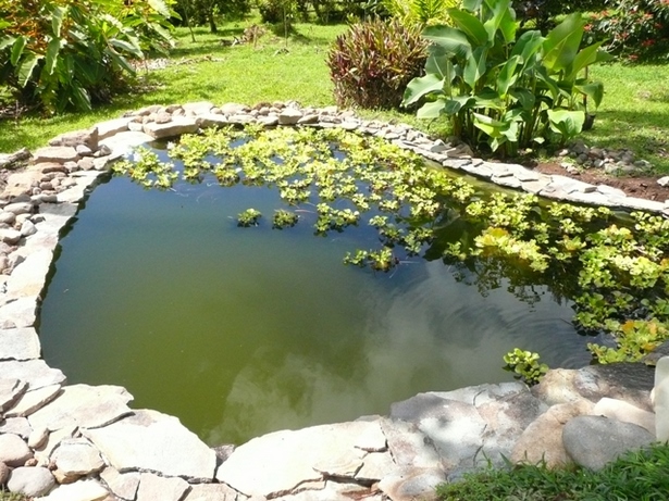 garden-pond-edging-stones-40_9 Градинско езерце кант камъни