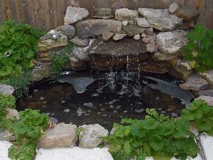 garden-pond-preformed-38_14 Градина езерце предварително оформени