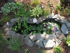 garden-pond-preformed-38_17 Градина езерце предварително оформени