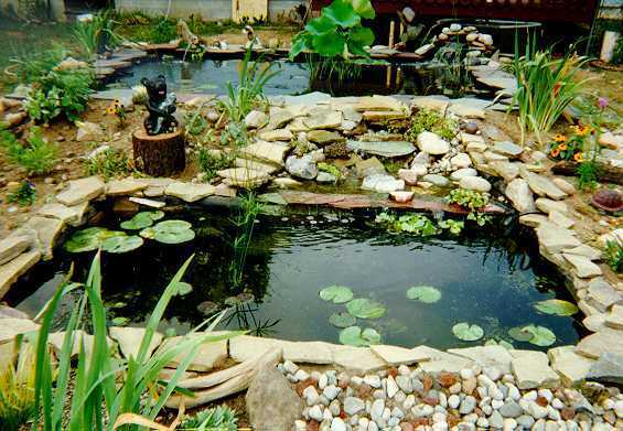garden-pond-stones-13_15 Градинско езерце камъни