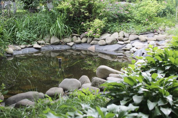garden-pond-stones-13_16 Градинско езерце камъни