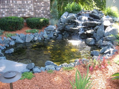garden-pond-with-waterfall-71_2 Градинско езерце с водопад