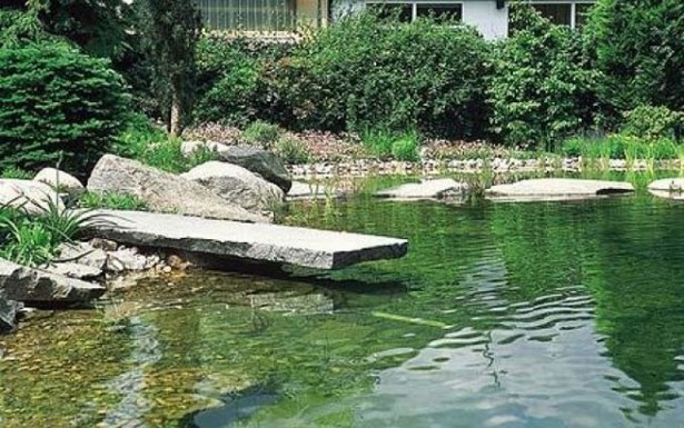 garden-water-pond-95_14 Градинско езерце