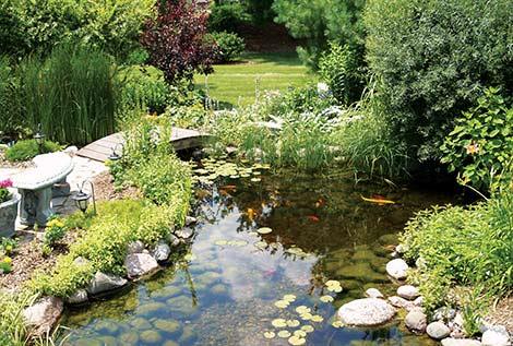 garden-water-pond-95_4 Градинско езерце