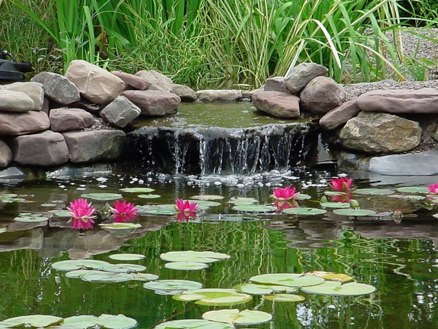 garden-with-a-pond-18_3 Градина с езерце