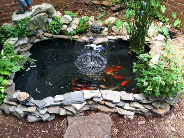 Идеи за езерце за златни рибки