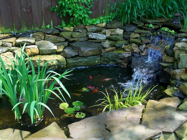 goldfish-pond-ideas-46_10 Идеи за езерце за златни рибки