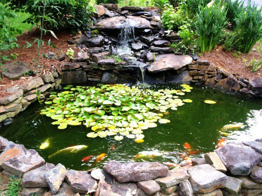 goldfish-pond-ideas-46_2 Идеи за езерце за златни рибки