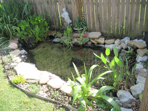 goldfish-pond-ideas-46_5 Идеи за езерце за златни рибки