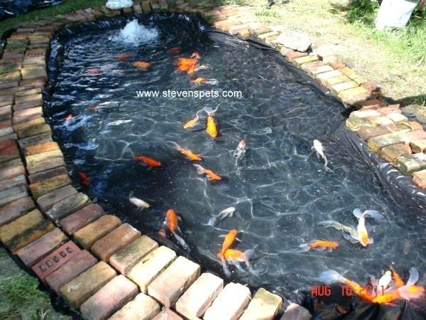 homemade-fish-pond-40 Домашно рибно езерце