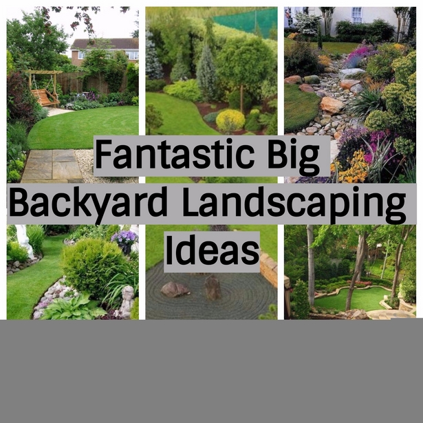 ideas-for-a-big-backyard-20_8 Идеи за голям заден двор