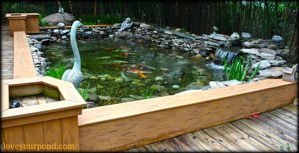 in-ground-fish-pond-33 В езерце за смлени риби
