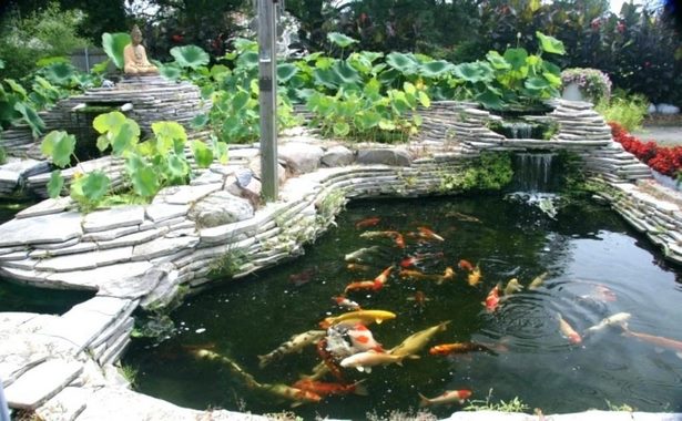 in-ground-fish-pond-33_12 В езерце за смлени риби