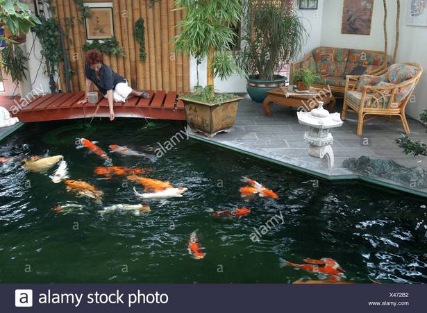 indoor-koi-pond-50_17 Закрит кой езерце