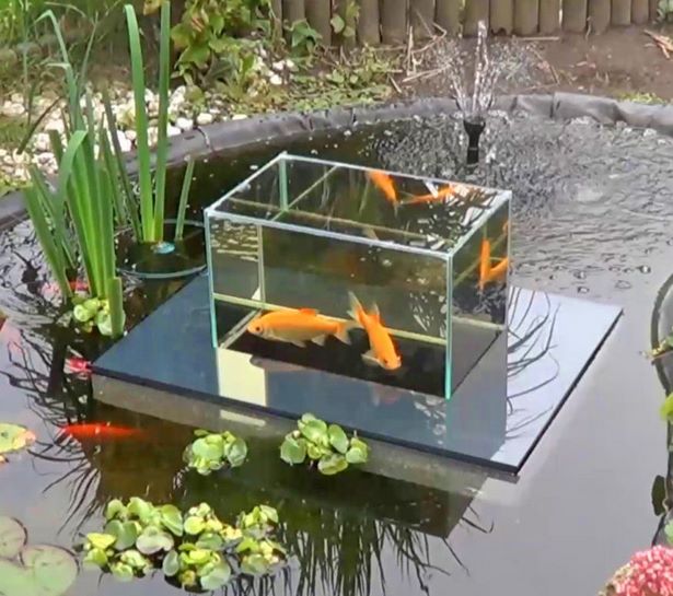 koi-fish-pond-ideas-80_11 Кои риба езерце идеи