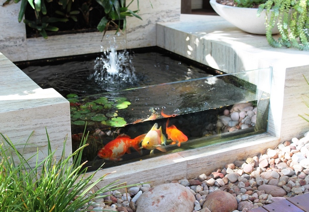 koi-fish-pond-ideas-80_18 Кои риба езерце идеи