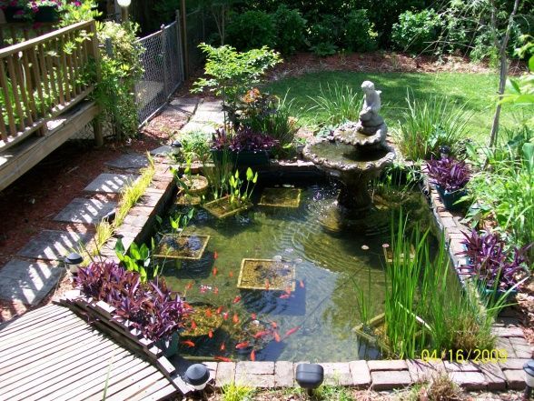 koi-pond-backyard-18 Кой езерце заден двор