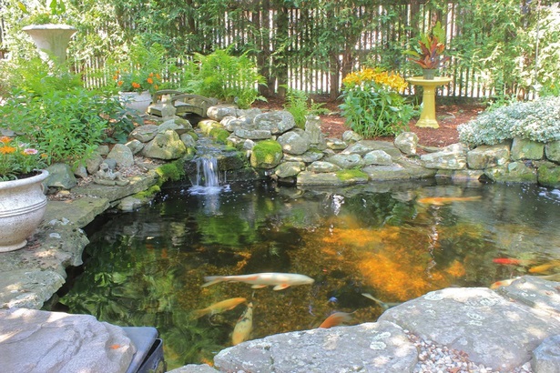 koi-pond-backyard-18_5 Кой езерце заден двор