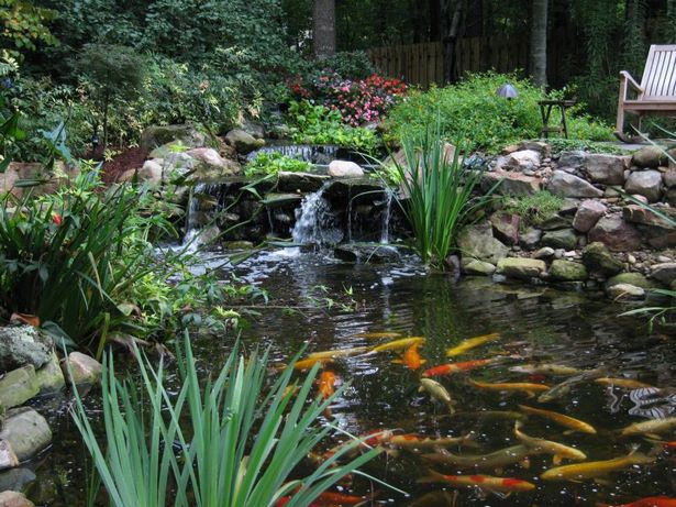 koi-pond-fountain-ideas-67_14 Кои езерце фонтан идеи