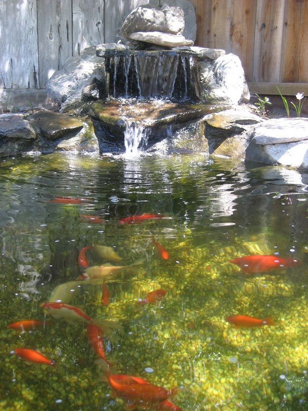 koi-pond-fountain-ideas-67_15 Кои езерце фонтан идеи