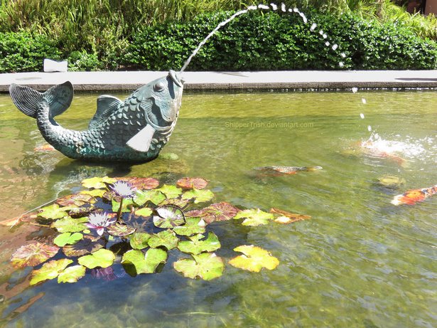 koi-pond-fountain-95_3 Кой езерце фонтан