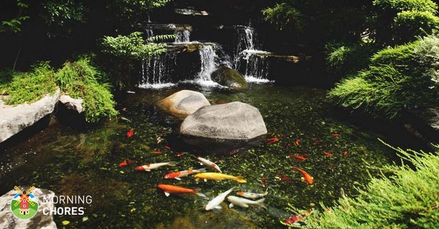 koi-pond-fountain-95_6 Кой езерце фонтан