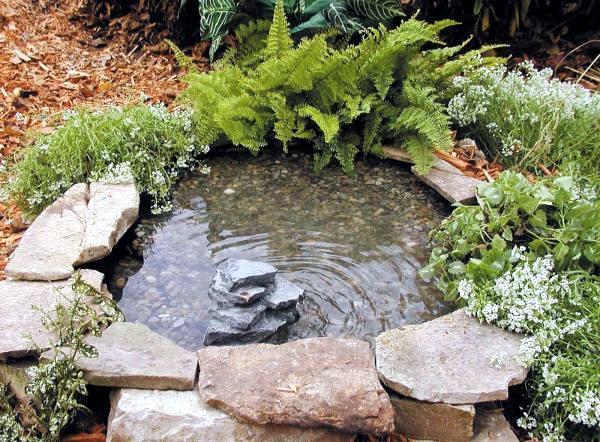 mini-garden-pond-99 Мини градинско езерце