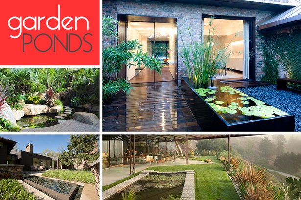 modern-pond-ideas-55_13 Модерни идеи за езерце