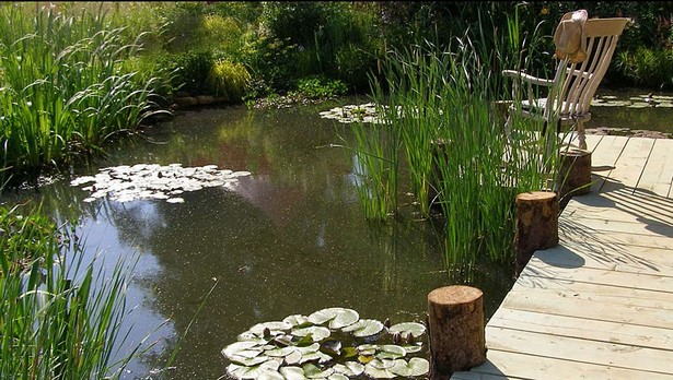 natural-garden-pond-70_12 Естествено градинско езерце