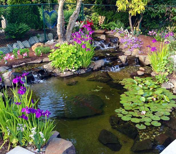 natural-garden-pond-70_13 Естествено градинско езерце