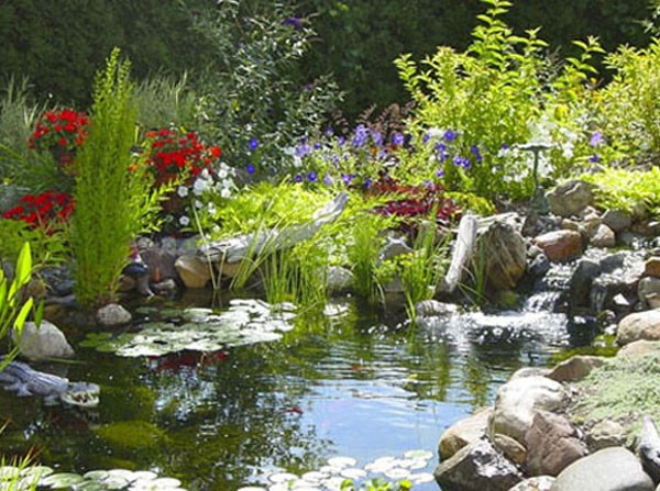 natural-garden-pond-70_3 Естествено градинско езерце