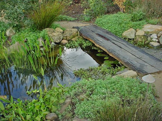 natural-garden-pond-70_4 Естествено градинско езерце