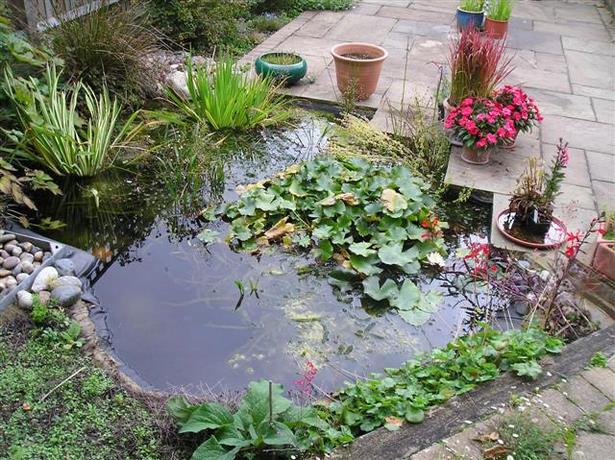 natural-looking-garden-ponds-48 Естествено изглеждащи градински езера