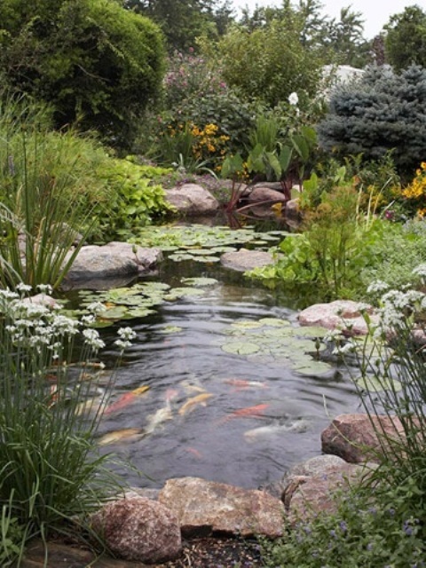 natural-looking-garden-ponds-48_11 Естествено изглеждащи градински езера