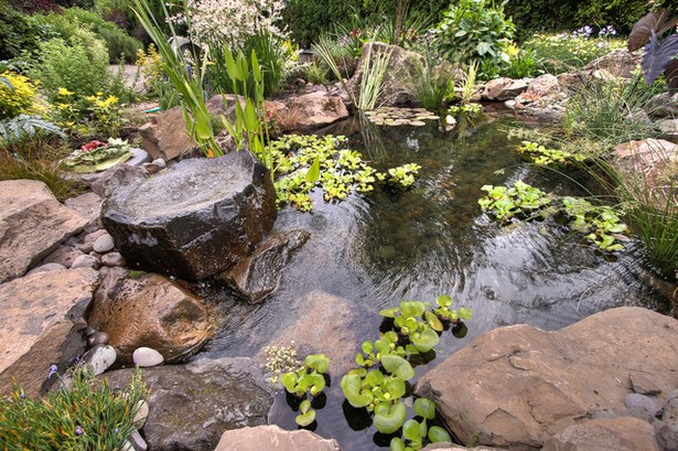 natural-looking-garden-ponds-48_14 Естествено изглеждащи градински езера
