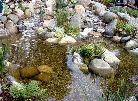 natural-looking-garden-ponds-48_3 Естествено изглеждащи градински езера
