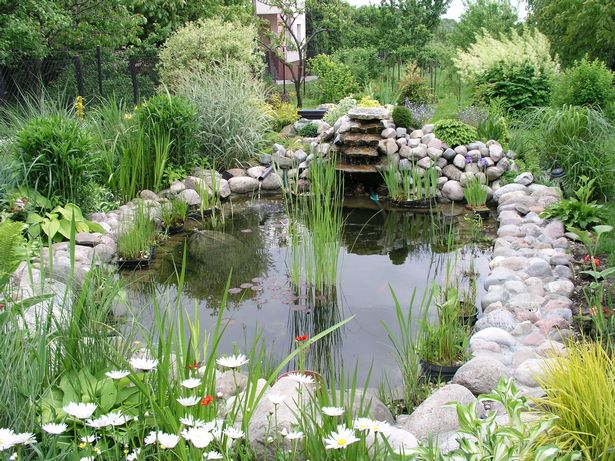 natural-looking-garden-ponds-48_8 Естествено изглеждащи градински езера