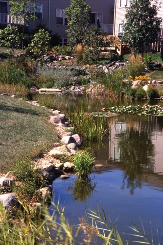 ornamental-ponds-21_19 Декоративни езера