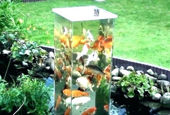 outdoor-fish-pond-ideas-63_12 Идеи за открито рибно езерце