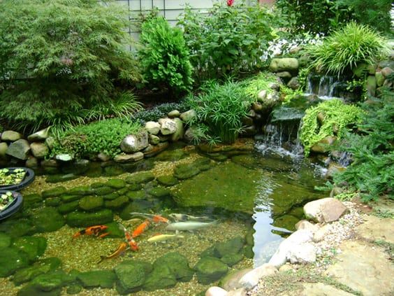 outdoor-fish-pond-ideas-63_15 Идеи за открито рибно езерце