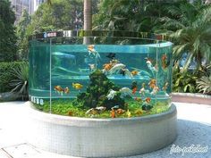 outdoor-fish-tank-ideas-28_17 Открит риба резервоар идеи