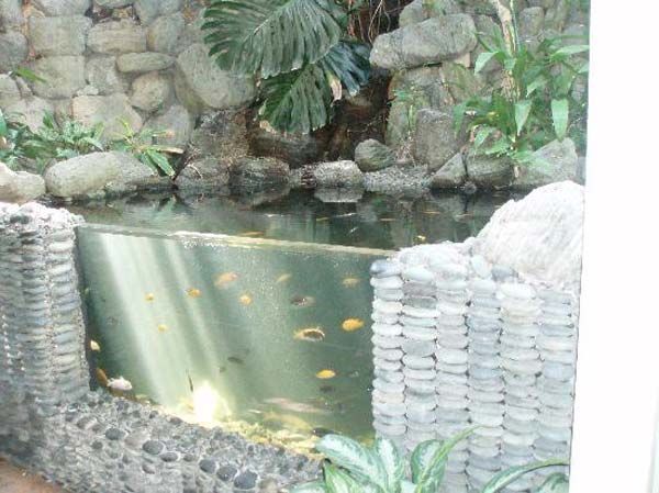 outdoor-fish-tank-ideas-28_3 Открит риба резервоар идеи