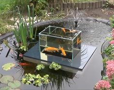outdoor-fish-tank-pond-49_16 Открит резервоар за риба езерце