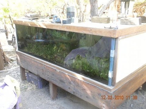 outdoor-fish-tank-37 Открит резервоар за риба