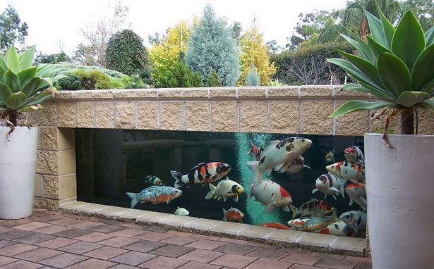 outdoor-fish-tank-37_14 Открит резервоар за риба