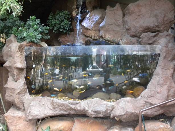outdoor-fish-tank-37_17 Открит резервоар за риба